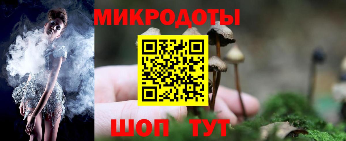 Галлюциногенные грибы MAGIC MUSHROOMS  Вход с VPN  Щёлково 